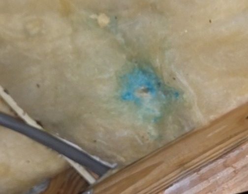 Condensation stain on attic insulation below a broken air conditioner suction line in a Naples home