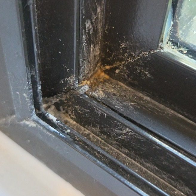 Moisture buildup and staining at the lower corner seam of a window frame found during a Naples home inspection