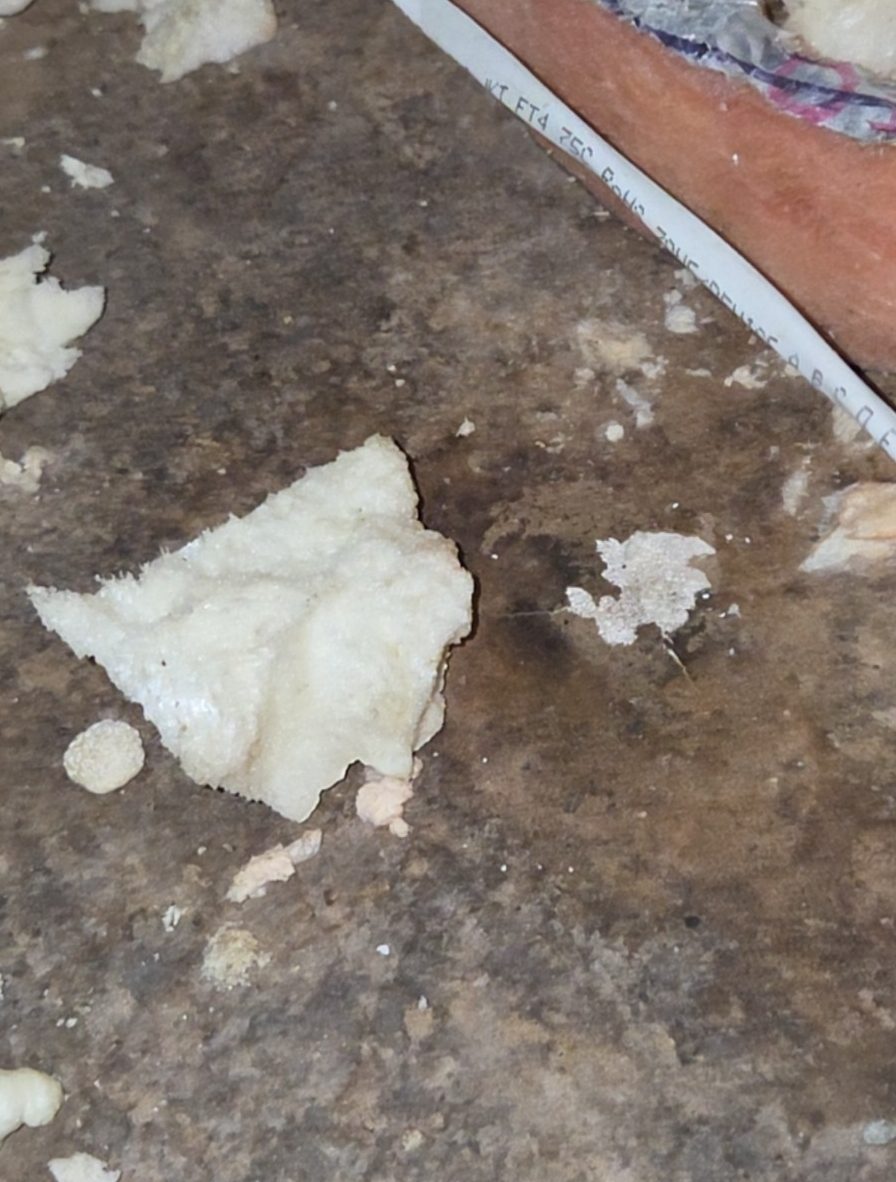 Close-up of mold growth in an attic beneath leaking HVAC ductwork